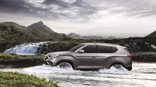 rexton8
